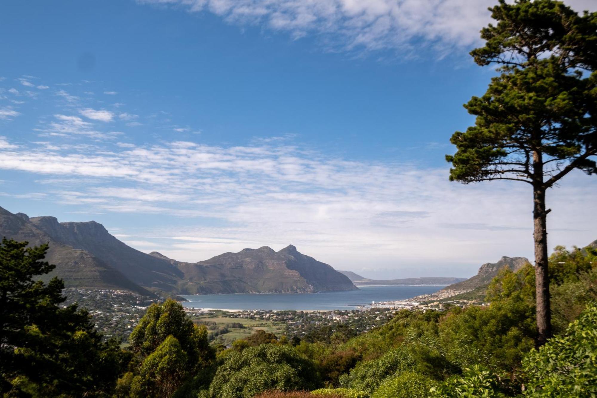 Dreamhouse Guest House Hout Bay Exterior photo